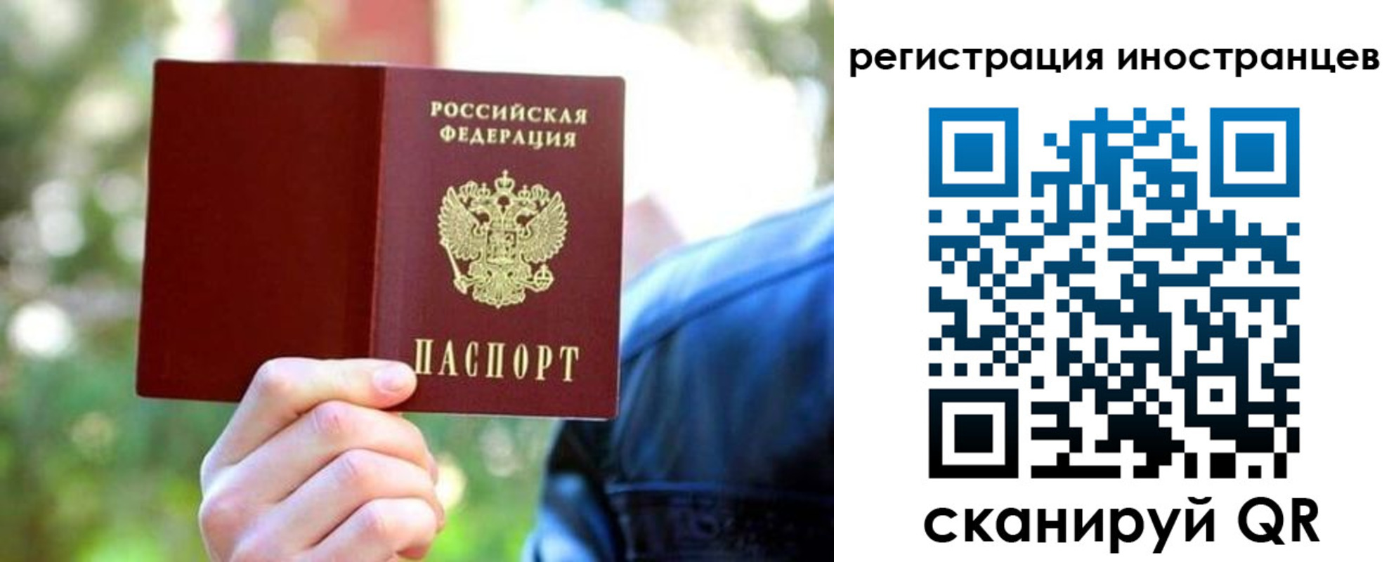 временная регистрация поиск в Фролово